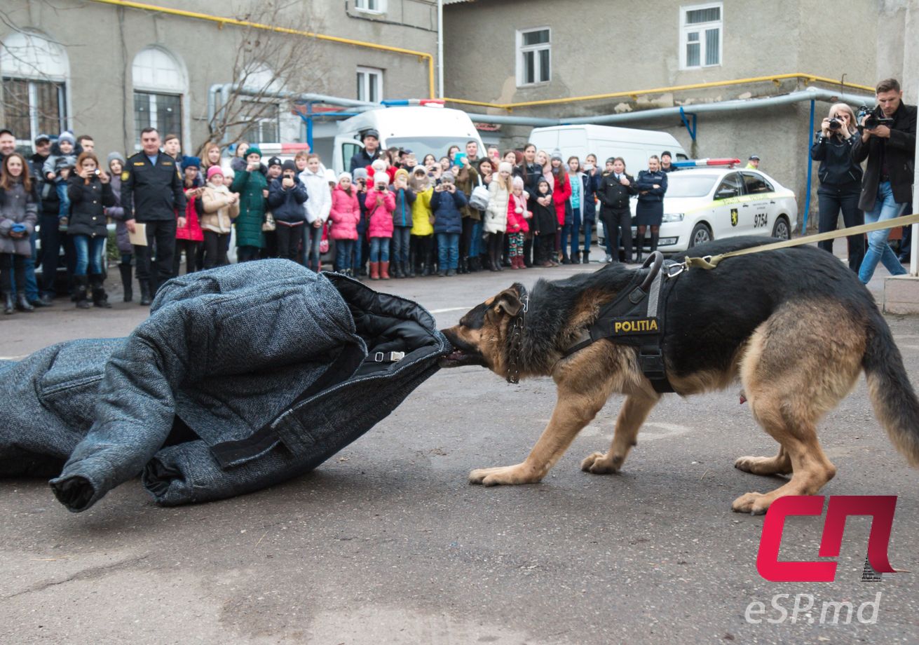 День открытых дверей в полиции Бельц