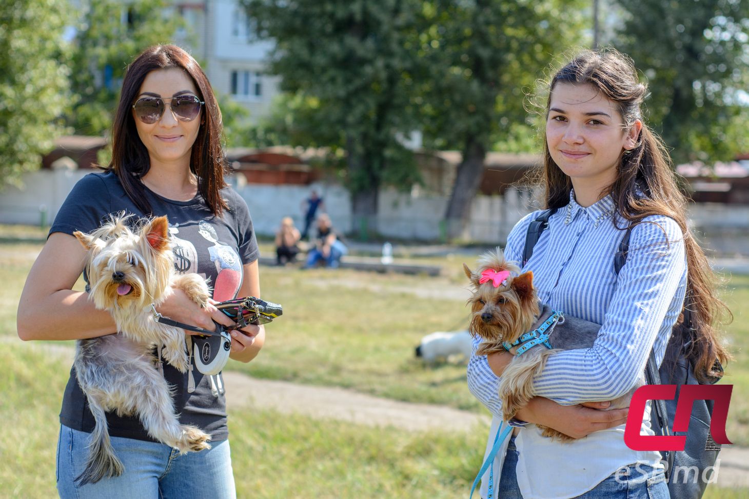 Международная выставка собак - 2017 в Бельцах