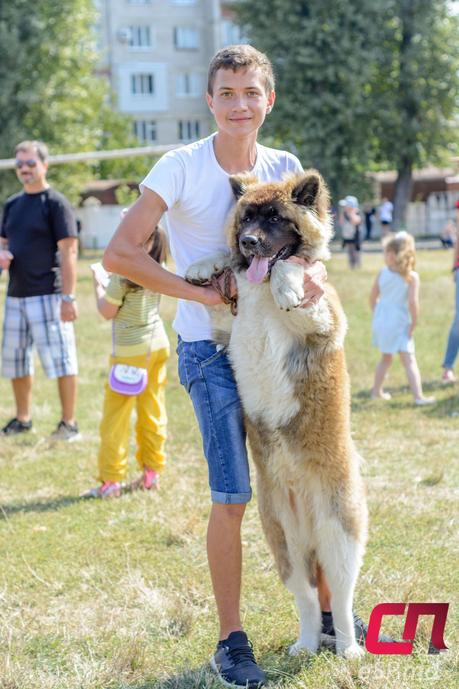 Международная выставка собак - 2017 в Бельцах