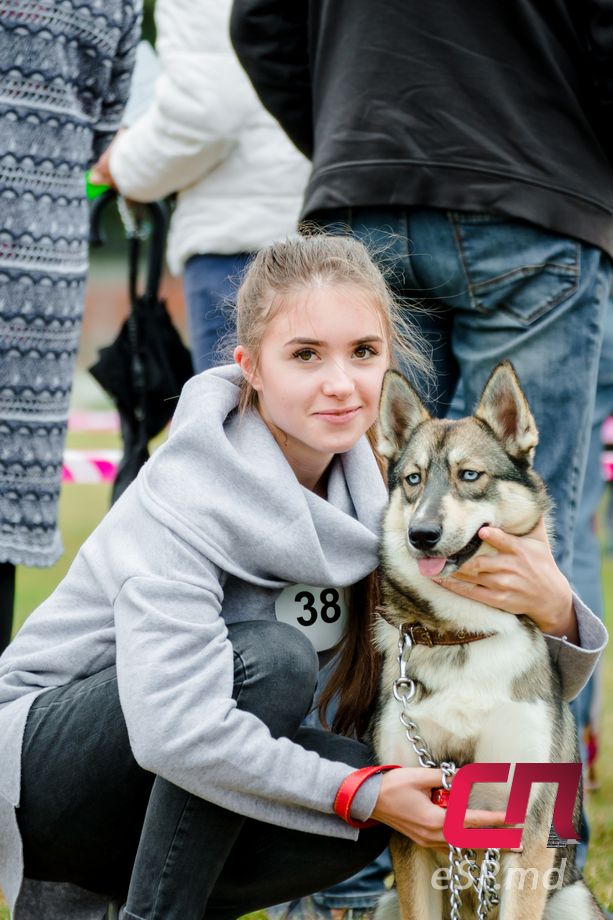 Международная выставка собак в Бельцах 2018