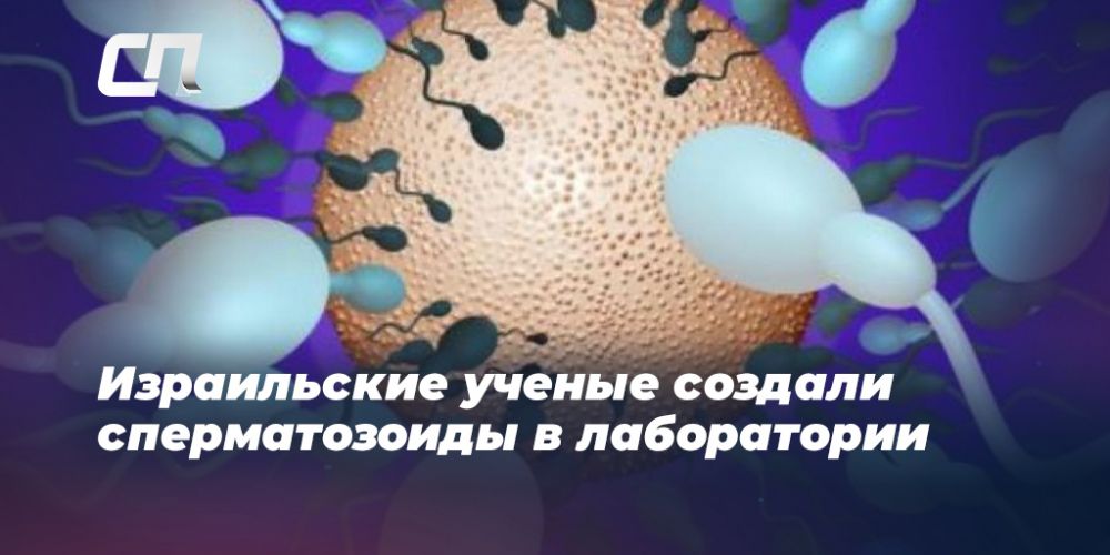 ЭКО в Израиле - стоимость искусственного оплодотворения