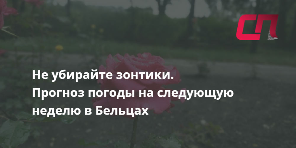 Убери зонт. Убери зонт