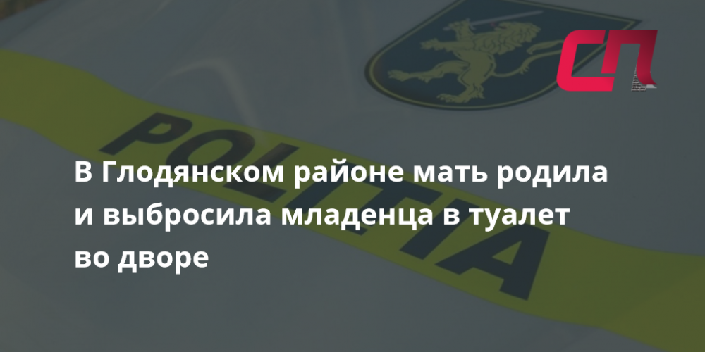 В Глодянском районе мать родила и выбросила младенца в туалет во дворе