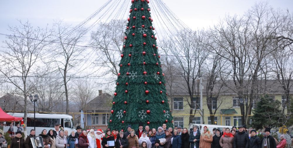 новогодняя елка Фалешты