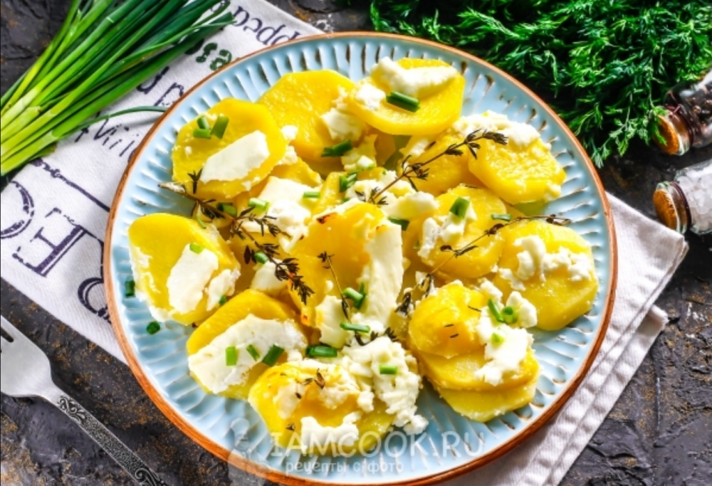 3 рецепта домашней брынзы — с яйцом, пепсином, лимонным соком