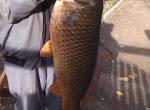 7 Lakes. Pescuit, divertisment si recreare