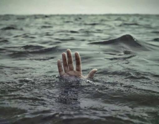 Женщина утонула в пруду в Единецком районе