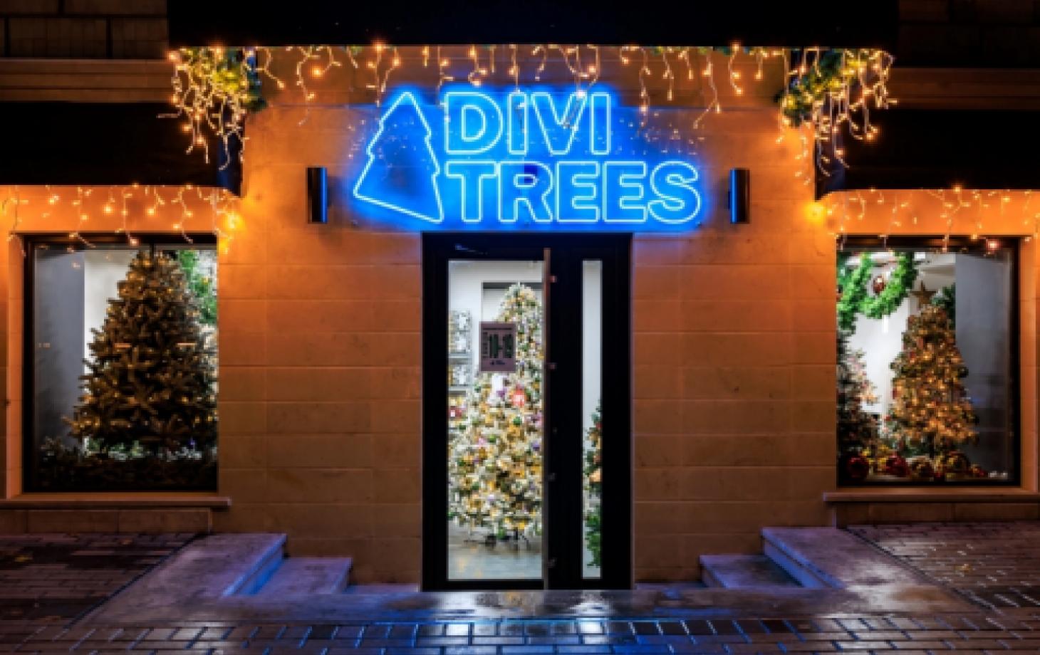 DIVI TREES приглашает в свой шоурум в Бельцах: широкий выбор искусственных  елей и новогодних украшений