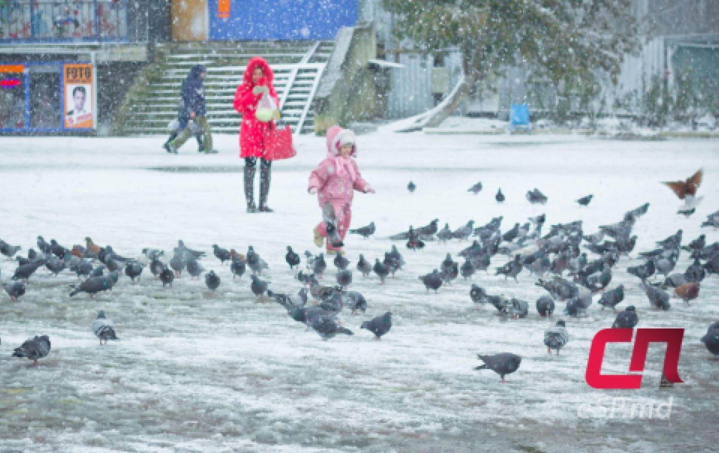 В Бельцах ожидается снегопад