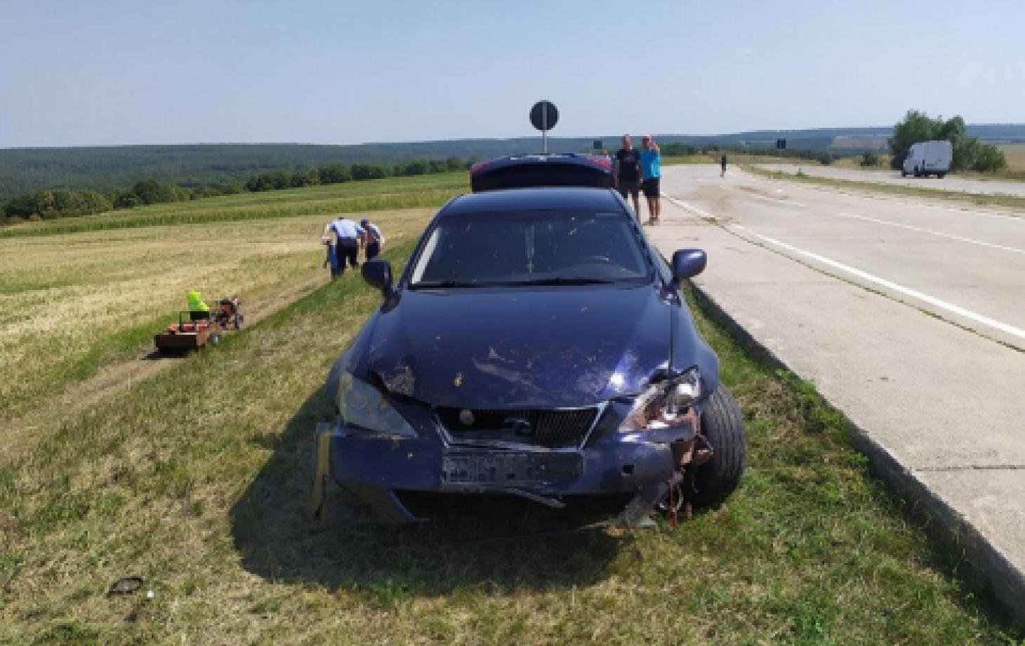 В Чимишлийском районе водитель Lexus сбил стадо овец