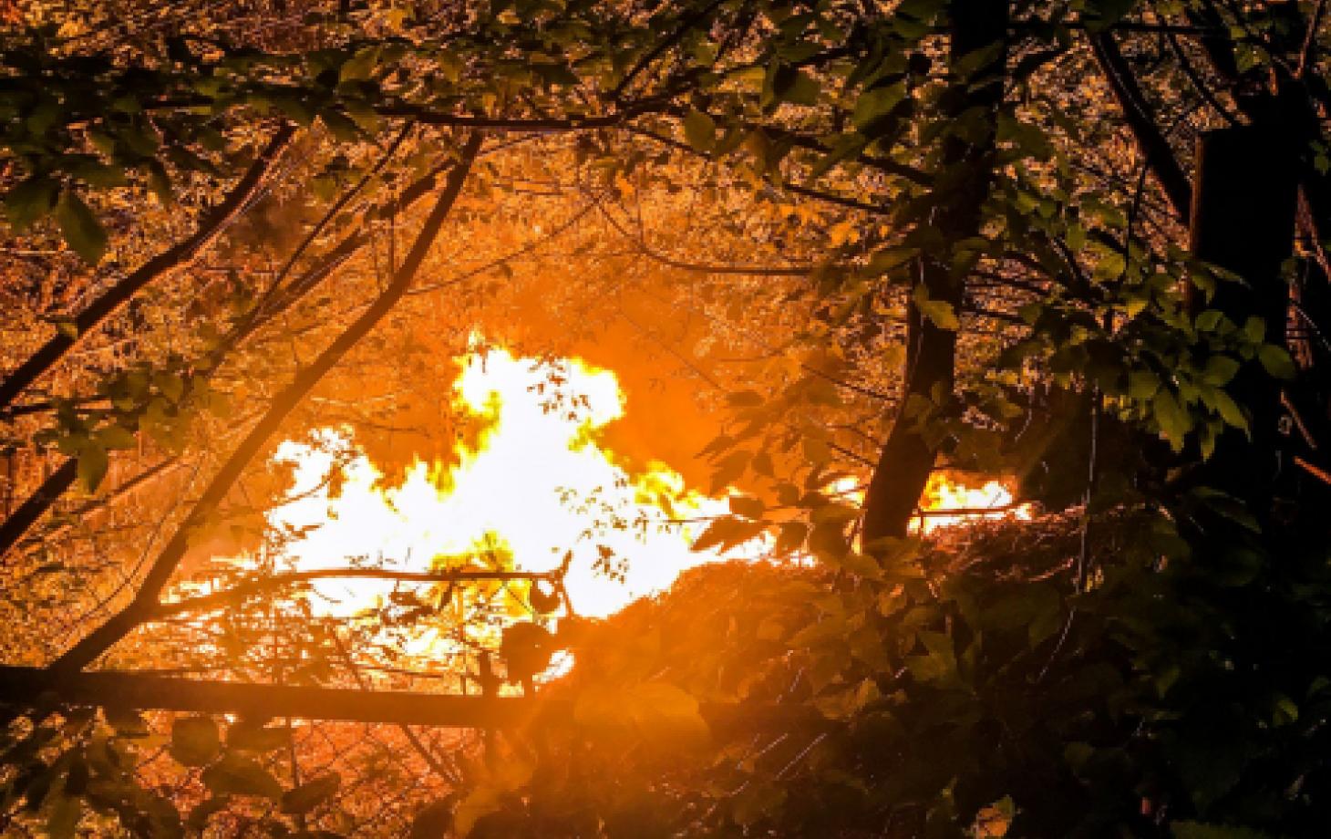 Пожар в Парке Победы в Бельцах