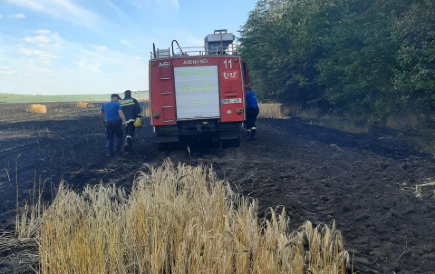 Lanuri de grâu și orz nimicite de flacări: Lichidarea focarelor de ardere a durat circa 5 ore