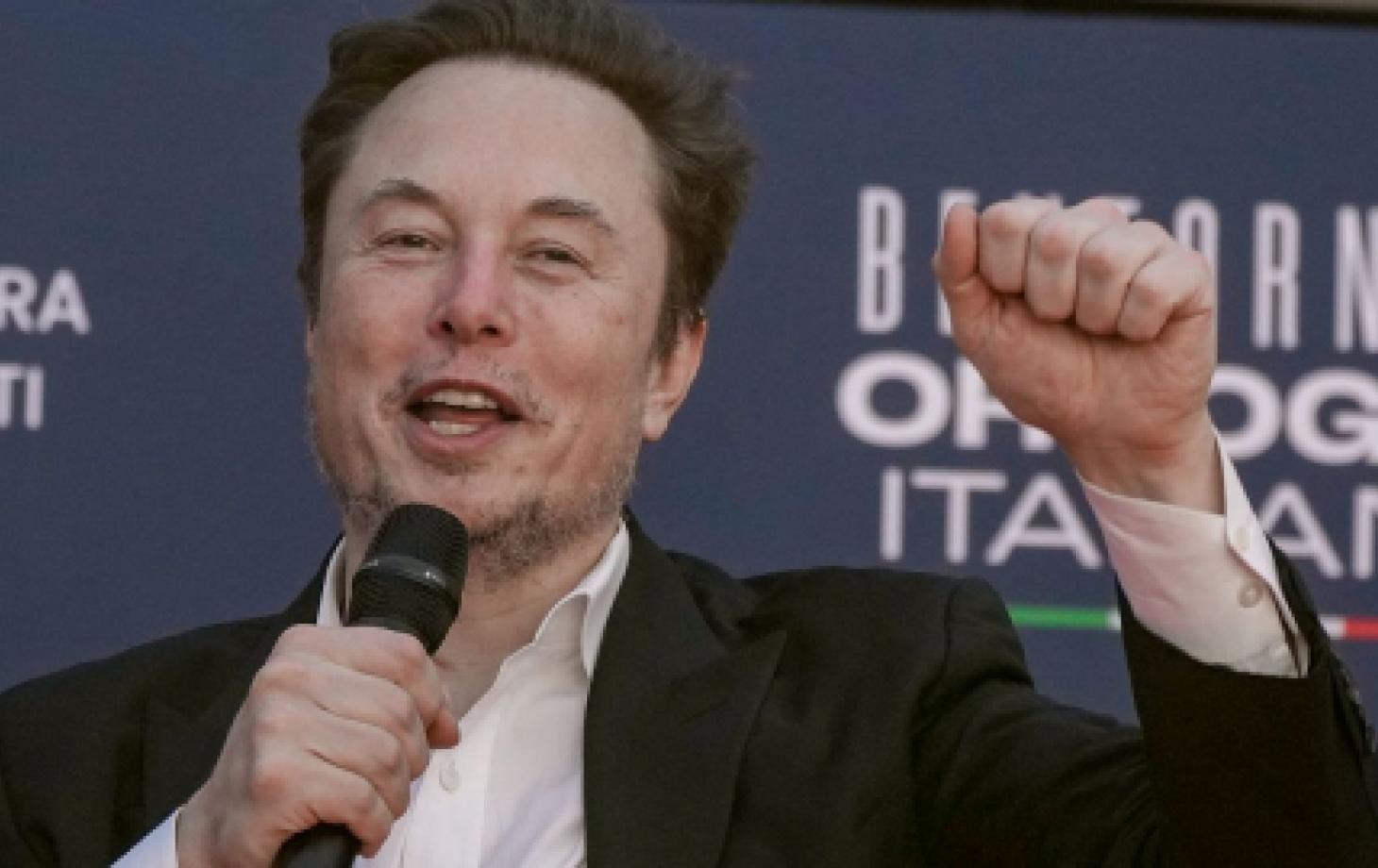 Илон Маск выделил $1 млн на сохранение древнеримского наследия