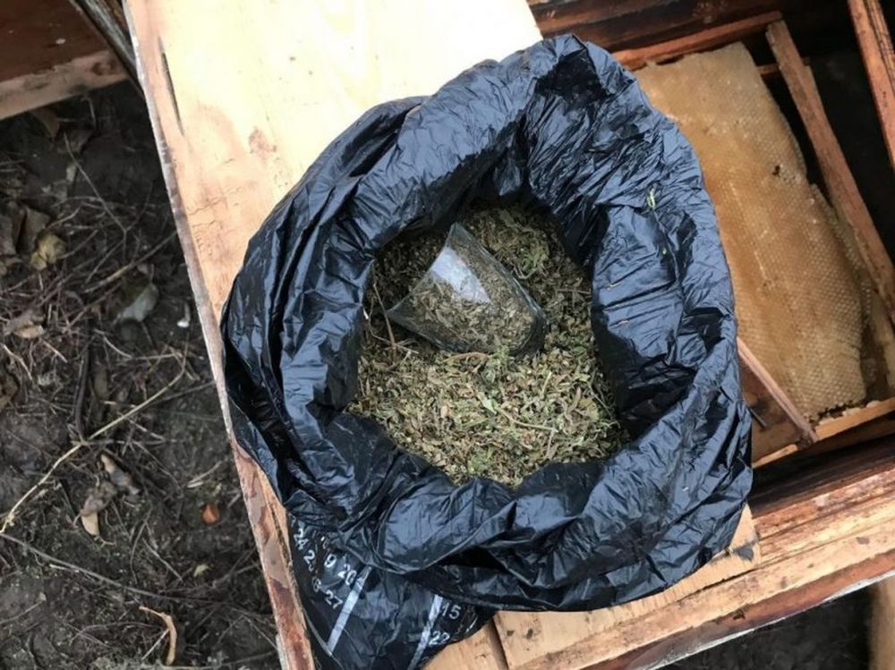 Почти полкило марихуаны пограничная собака обнаружила в улье
