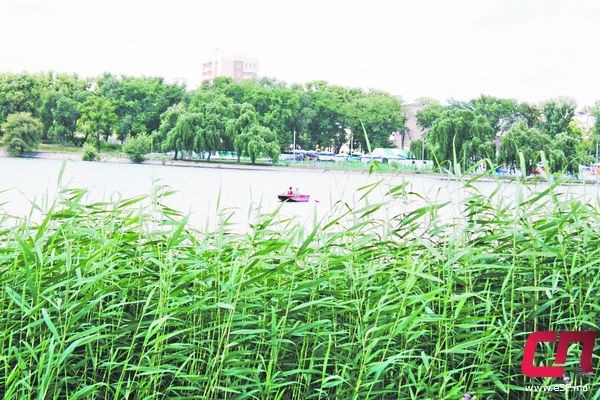 Городское озеро Бельцкие водоёмы: гид отдыхающего фото 1