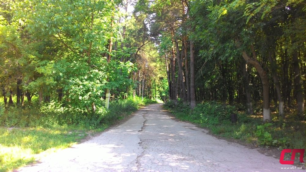 Красивый город - Бельцы (Комсомольское озеро) фото 14