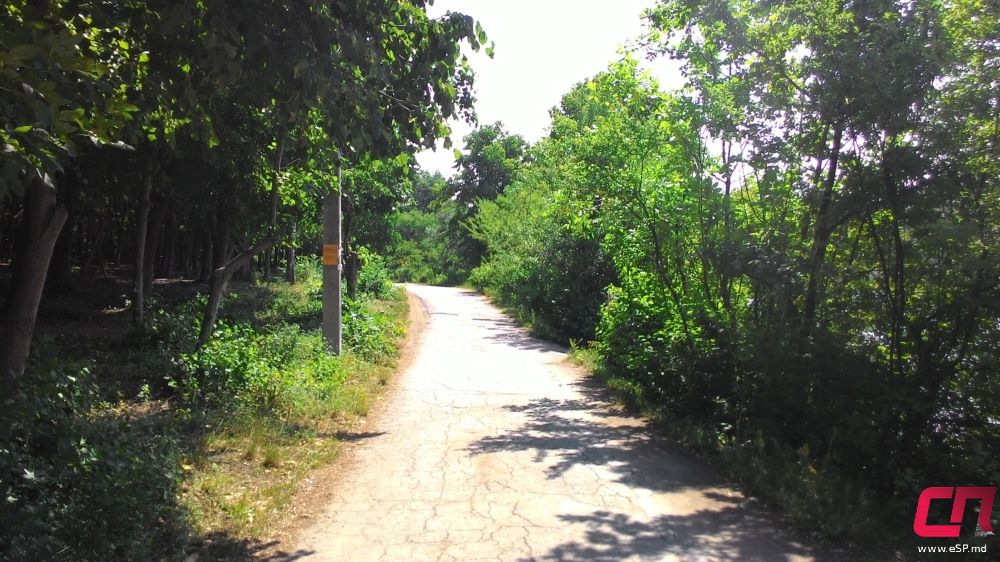 Красивый город - Бельцы (Комсомольское озеро) фото 12