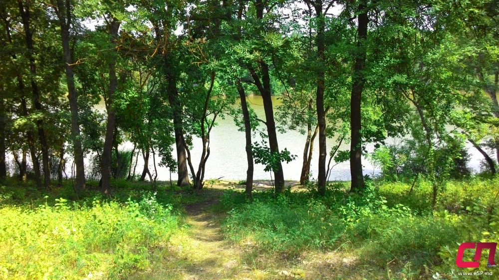 Красивый город - Бельцы (Комсомольское озеро) фото 8