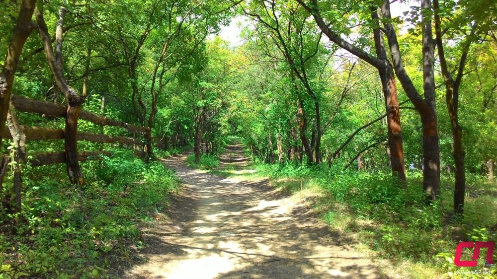 Красивый город - Бельцы (Комсомольское озеро) фото 2